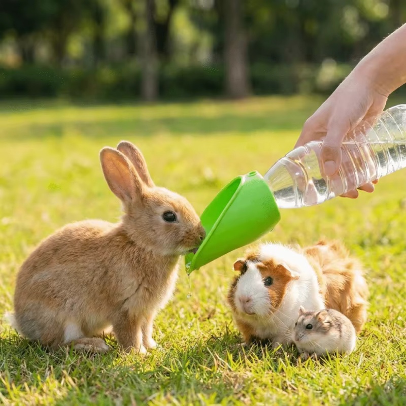 Dog cat Travel Water Bottle  P - Water Bag Collapsible บทวิจารณ์และราคา
